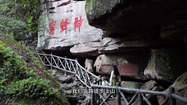 小朋友终于见到心心念念的萤火虫了！ 简直就是成都周边超好玩的宝藏地