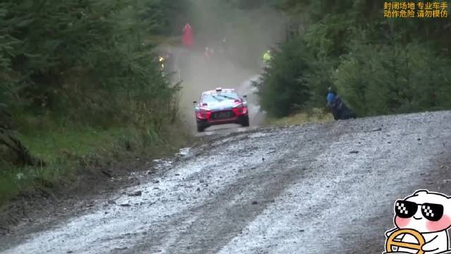 WRC拉力赛赛道飞驰与改装车文化精彩呈现