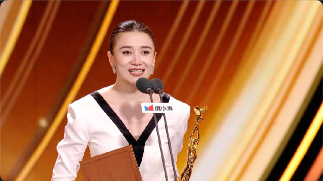 宋佳金鹰视后
