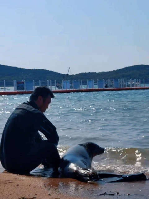 黑衣大哥陪海豹娜娜看风景，想偷溜被拦滚入怀中