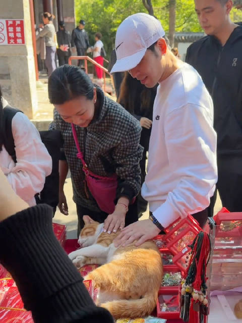 萧敬腾大孤山撸猫喂狗，吹凉香肠亲手喂食