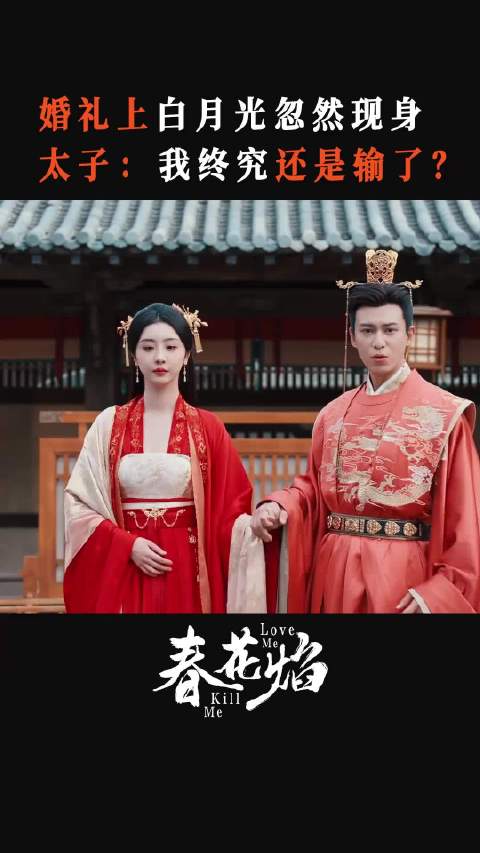 太子放心无人抢落梅，三公主得意的是阿眉