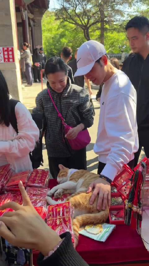 萧敬腾达孤山撸猫，手法尽显爱猫之心