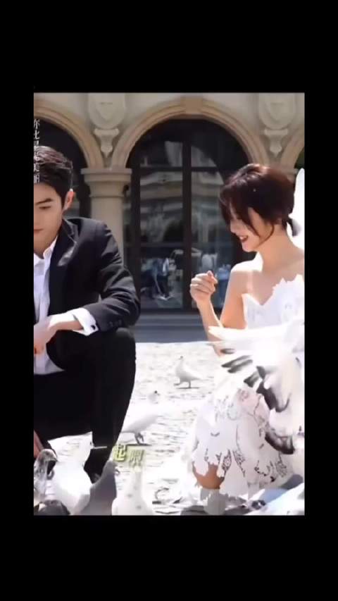 好喜欢这段谭松韵许凯你比星光美丽纪星韩 廷