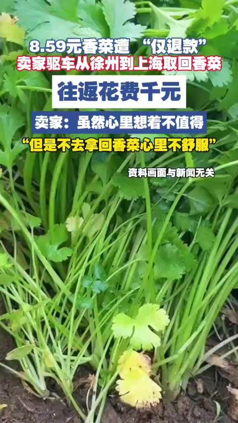 昨夜今晨 大家都在看啥议啥