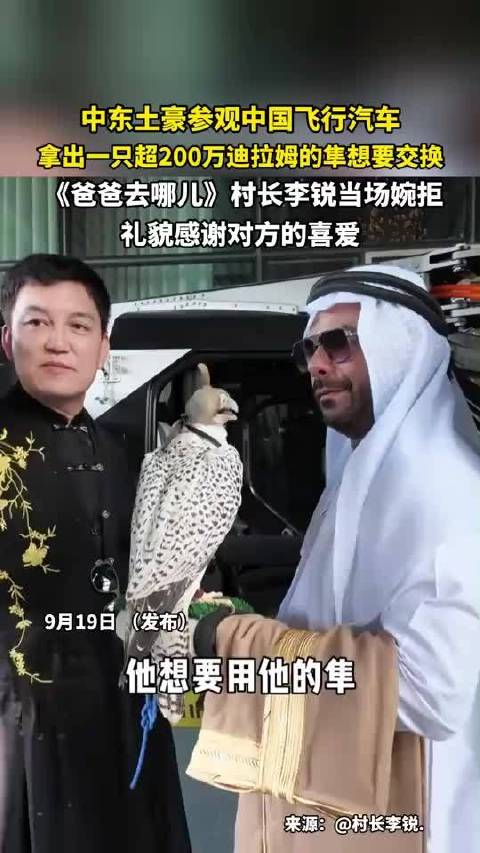 中东土豪用超200万迪拉姆隼换飞行汽车 李锐婉拒