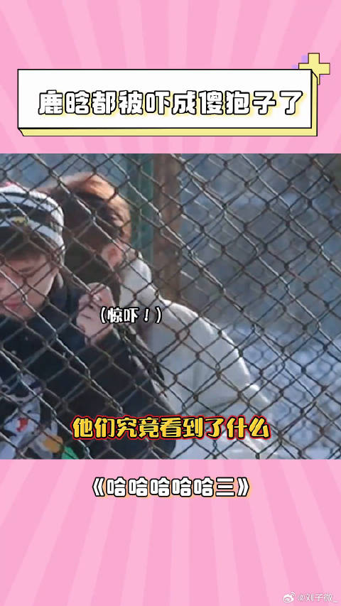 哈哈哈哈哈第三季 鹿晗 都被吓成傻狍子了