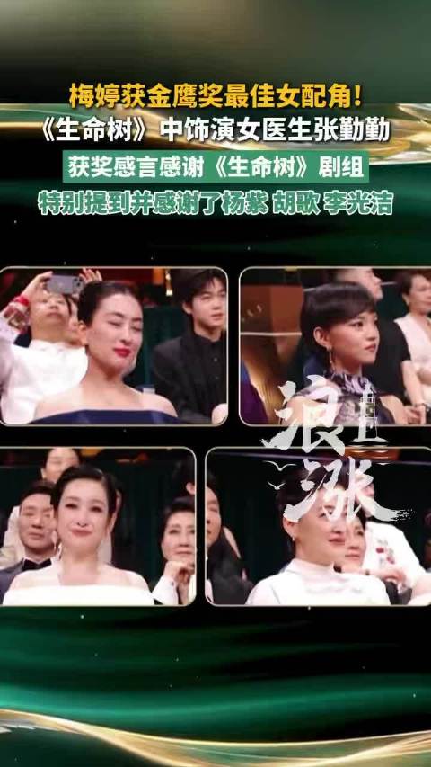 梅婷获奖感言里感谢了杨紫