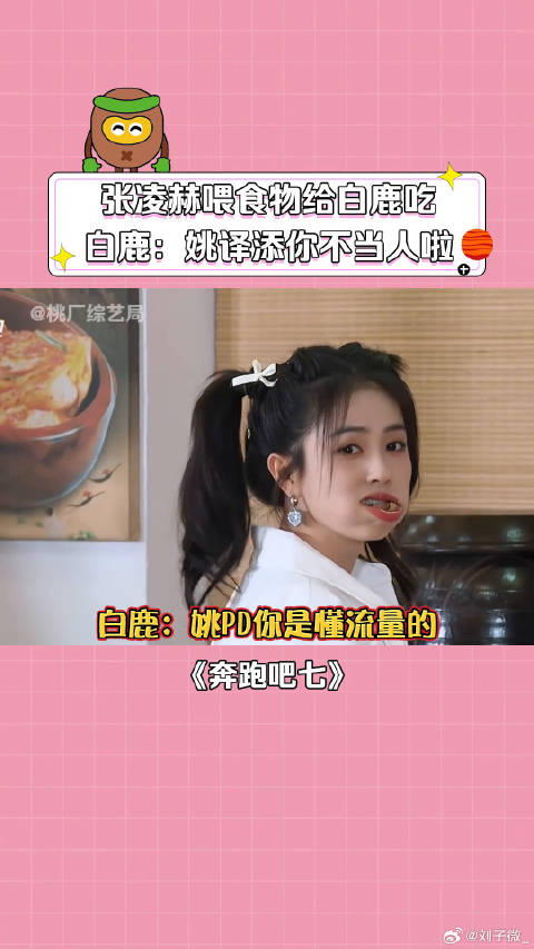 白鹿 张凌赫喂白鹿吃菜包肉