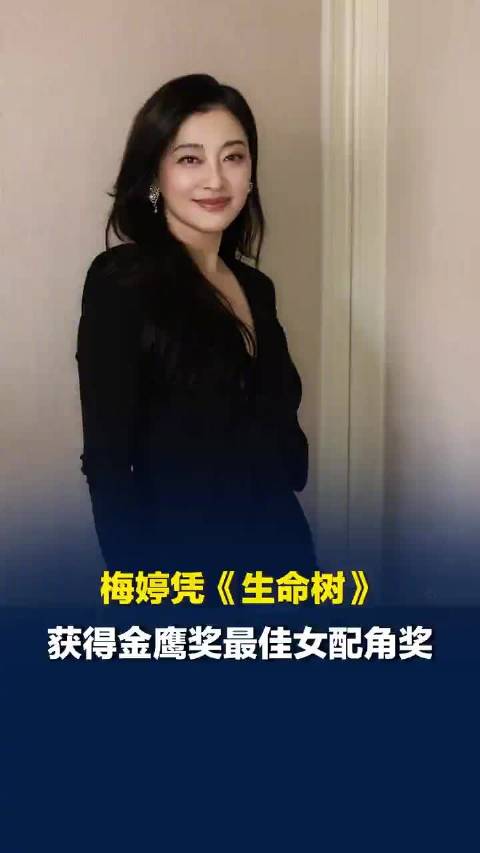 梅婷获奖后激动落泪