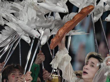 今日份的老薛与海鸥的亲密互动