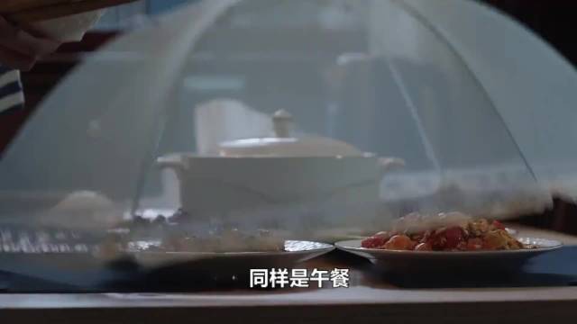 王漫妮午餐仅盒饭，钟晓芹顿顿四菜一汤