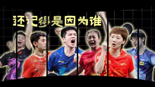 还记得你是因为谁喜欢上的乒乓球吗？ 樊振东 张继科 马龙 孙颖莎