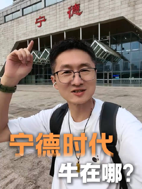 你们觉得宁德时代的电池质量到底怎么样？