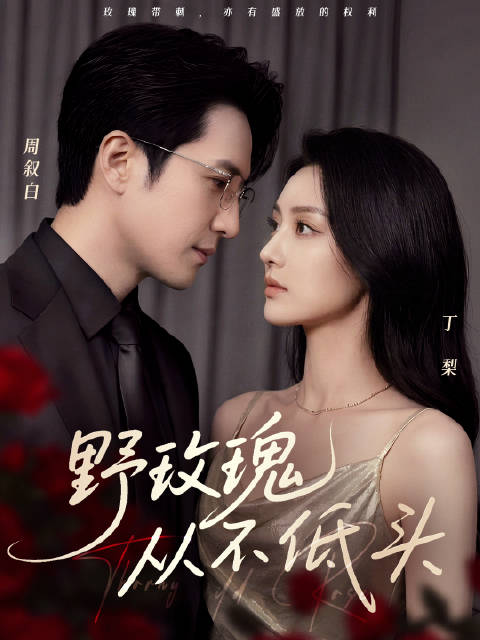 短剧·野玫瑰从不低头-第6集-结婚纪念日，前妻闯入撕碎豪门假象。丁梨当众掌掴渣男，决绝离婚。周叙白追悔，林知鸢疯扑，唯有