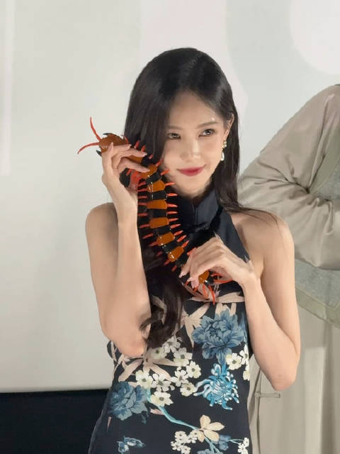 李一桐蛇蝎美人