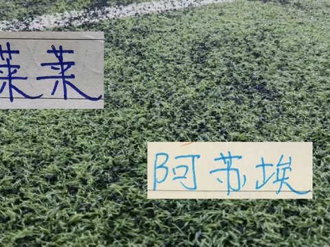 不容易！终于有申花球员拿到官方最佳