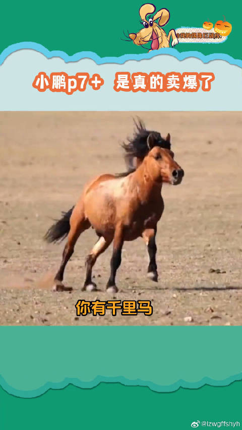小鹏p7＋用数据说话！这谁能不服小鹏p7 小米 微博VC计划