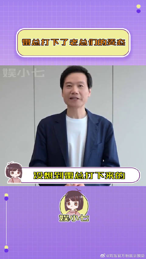 比亚迪 雷军