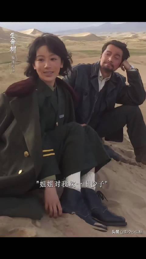 金鹰奖于和伟宋佳分获视帝后 杨紫无缘最佳女主