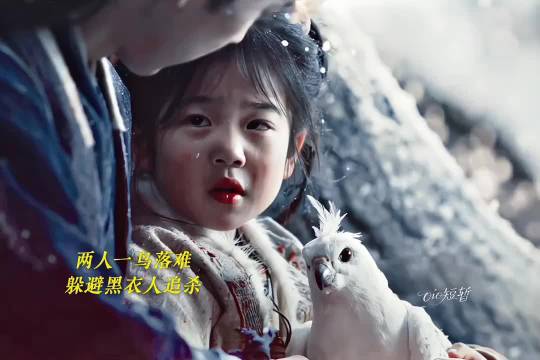 宁娘抱白毛隼抓伤敌人，男主美强惨殊死拼搏
