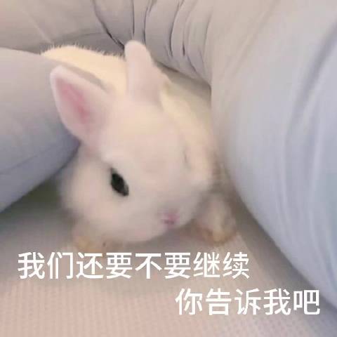栗500w⁵