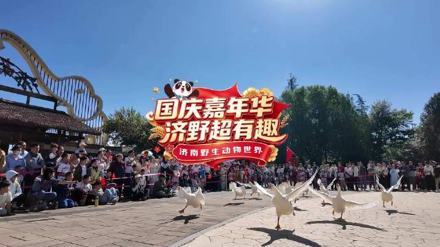 国庆嘉年华济野超有趣！萌兽相伴，野趣登场，共度盛世长假