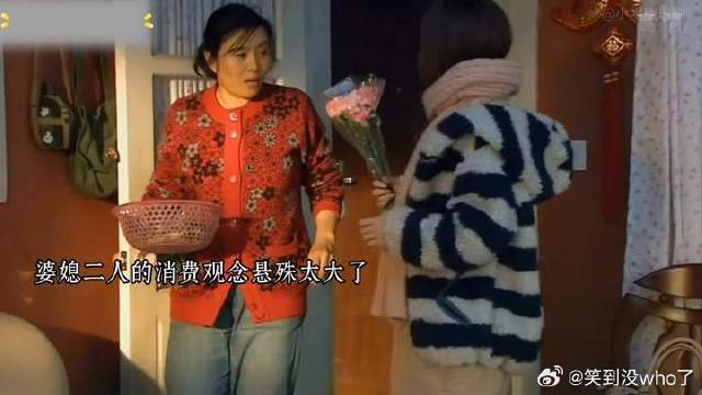 婆媳二人的消费观念差异悬殊：婆婆素来节俭，认为儿媳买花的行为过于浪费