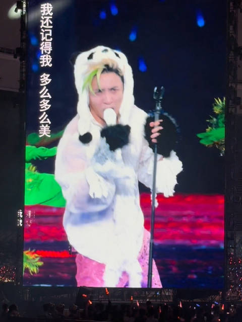 薛之谦成都演唱会cos熊猫