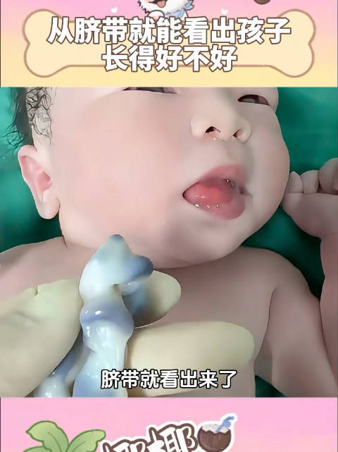 从脐带就能看出孩子长得好不好