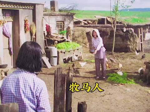 老电影推荐 电影牧马人