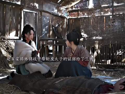 其实也能理解兰香最后烧掉了证据，她们家本就是废太子一队…