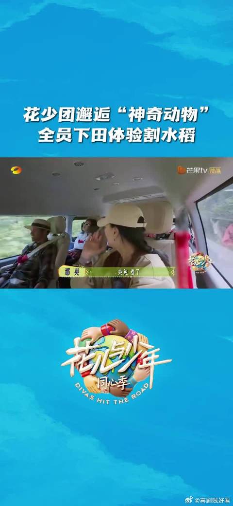 旅途继续～且看花少团那英、陈数、马思纯、李沁、张雅琪、龚俊、张晚意如何与…