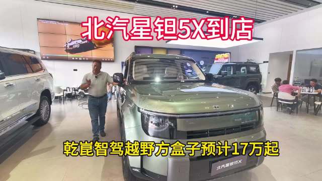 到店 纯电插混两个版本预计17万起