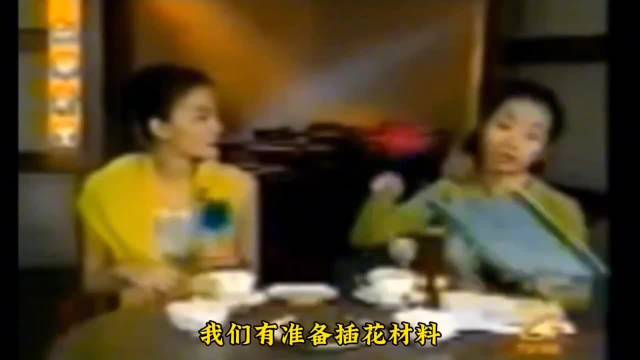 王菲：家务活都不好玩，我不洗碗的