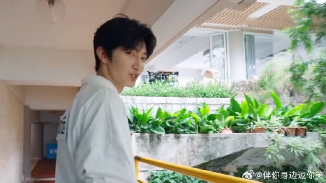 张真源陈哲远玩起了偷梁换柱，一个比一个精，真的太绝了丨奔跑吧