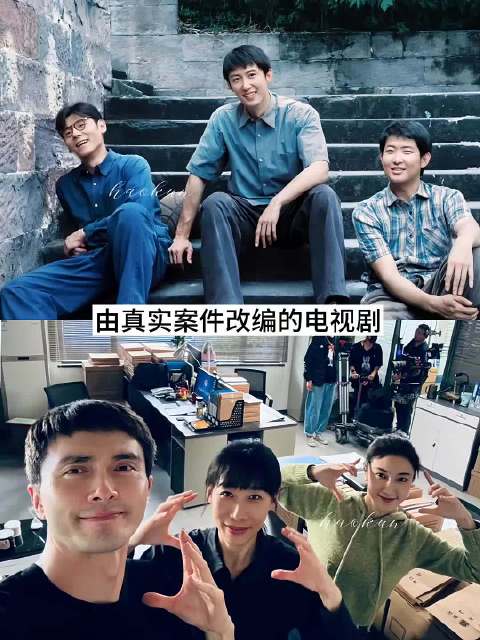 由真实案件改编的电视剧