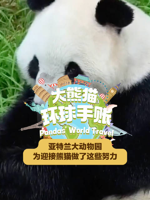 中美合力升级旅美大熊猫场馆
