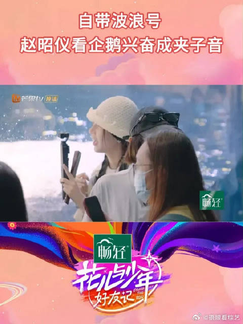 赵昭仪见企鹅变夹子音，每句话带波浪号