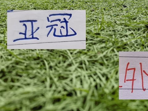 亚运结束 ！再过10天又到亚冠 申花 北京国安 海港 还能集体凯旋