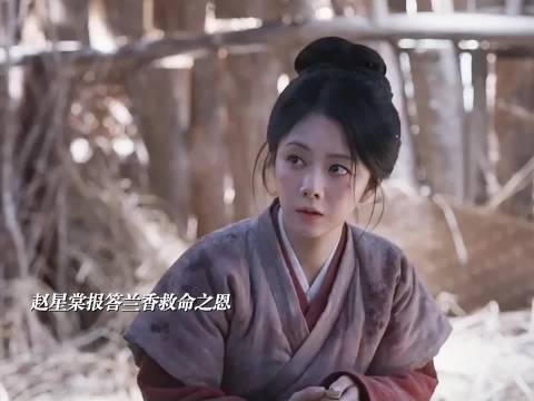赵星棠重伤强撑，与兰香相见恨晚