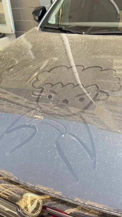 借你的车浅浅画画，说实话车该洗了