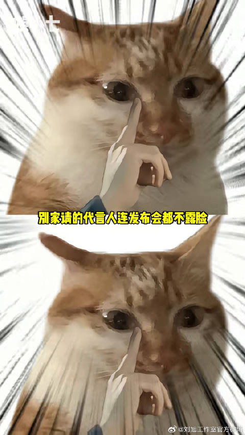 什么叫交车仪式变成粉丝见面会了？！友商两眼一睁天又塌了！微博VC计划