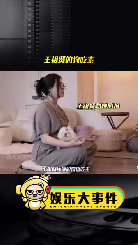 王祖贤的狗也吃素，这样对狗子好吗？