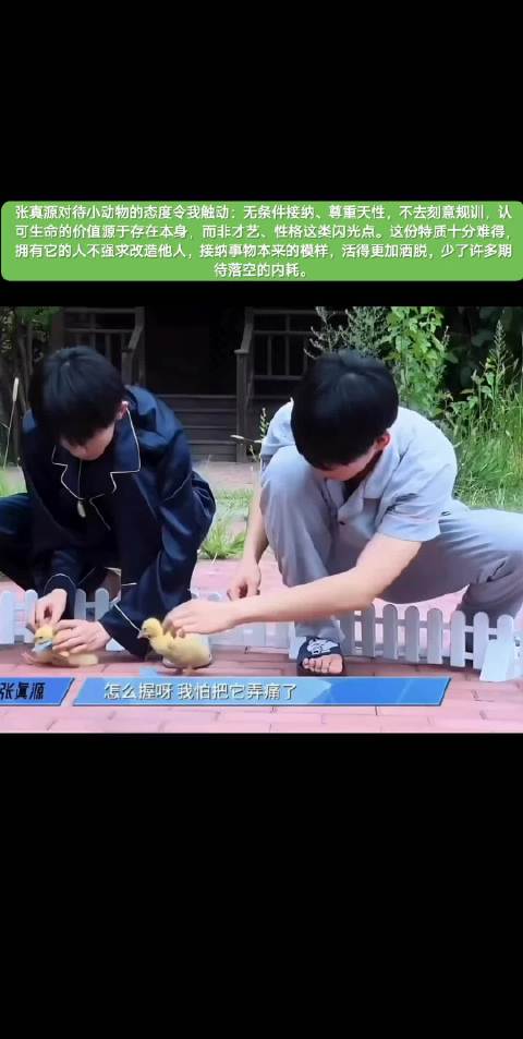张真源无条件接纳小狗呼安，尊重生命天性