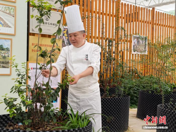 (乡村行·看振兴)浙江磐安:药香入膳守传承 匠心烹出幸福味 (乡村行·看振兴)浙江磐安:药香入膳守传承 匠心烹出幸福味