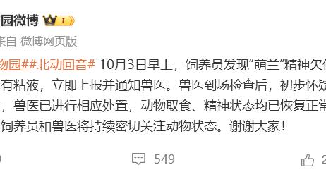 北京动物园回应“萌兰”精神欠佳:疑为胃肠不适,已恢复正常 北京动物园回应“萌兰”精神欠佳:疑为胃肠不适,已恢复正常
