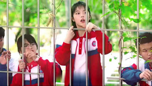 周翊然赵今麦CP感引期待，网友盼二搭宣传新剧