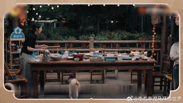 张子枫一句话惹怒黄磊，蘑菇屋温情在散场