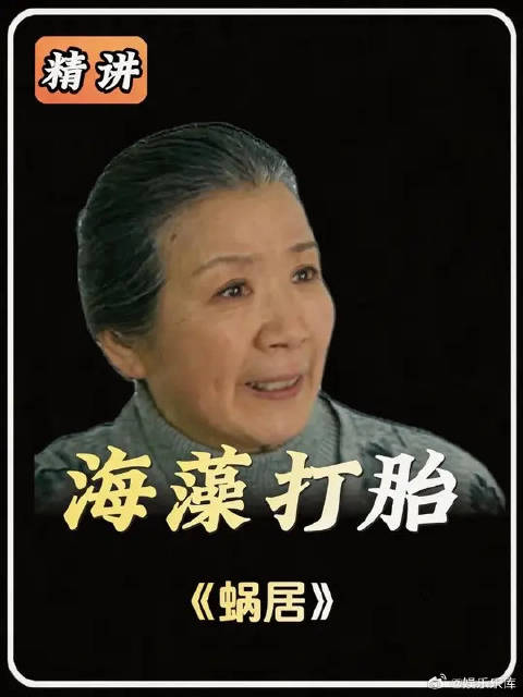 海藻怀孕被母亲知道，母亲让打掉孩子